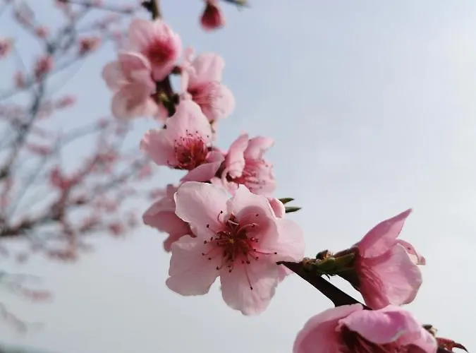 Pescara Apartman Montesilvano Marina