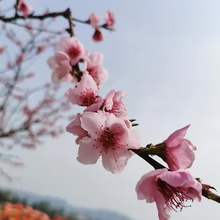 Pescara Apartamento Montesilvano Marina