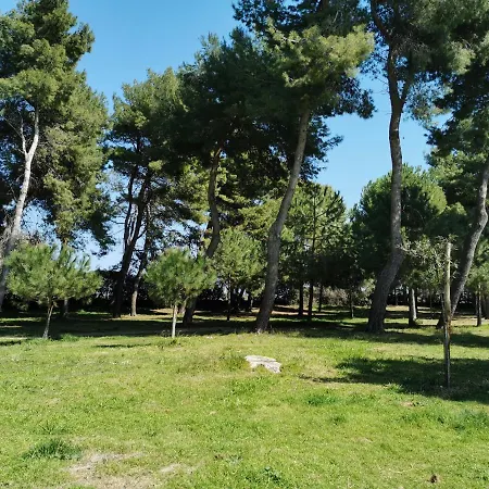 Apartment Pescara Montesilvano