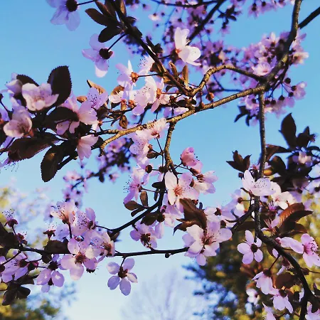 Pescara Montesilvano Marina