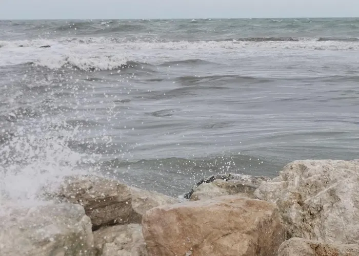 Pescara Appartamento Montesilvano Marina