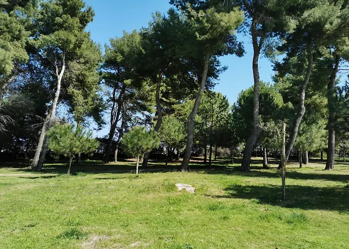 Appartamento Pescara Montesilvano Marina