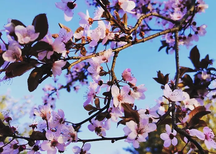 Pescara Montesilvano Marina